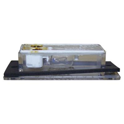 License Plate Light for 81-91 Jeep SJ Cherokee, Wagoneer and Grand Wagoneer Crown Automotive