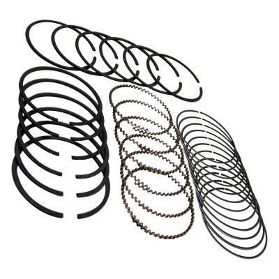 .020 Inch Piston Ring Set for Dodge RAM Van, 1500 Truck, Dakota and Durango w/ 3.9L Crown Automotive