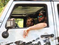 Jeep JK Clear Panorama Hardtop Panel for 09-18 Wrangler JK 2/4 Door ClearLidz